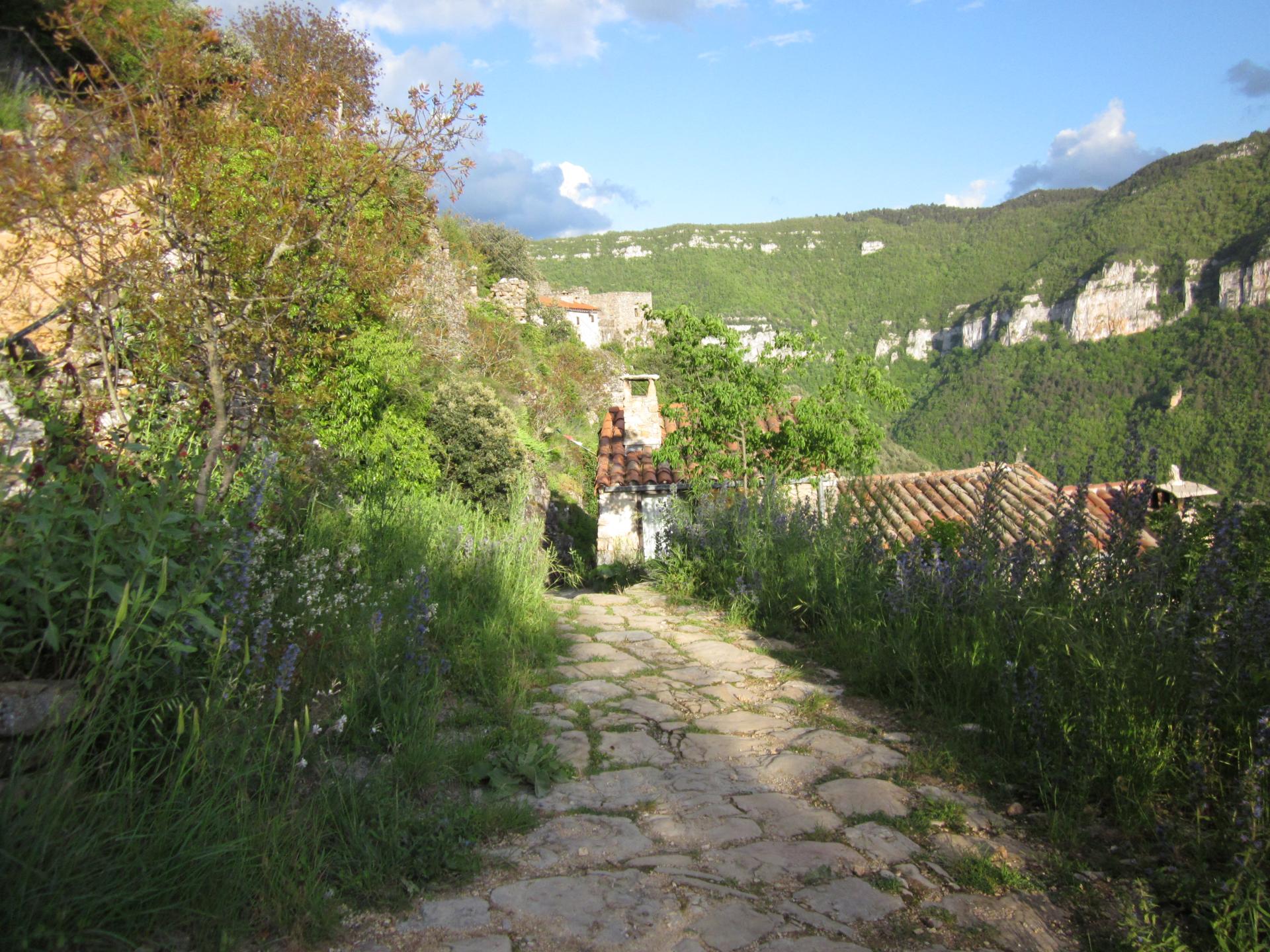 Img 0267